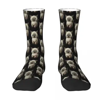 Cataclysm Сиамски Коте Класически Мъжки Чорапи Дамски Чорапи от полиестер Адаптивен дизайн