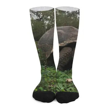 Галапагоските Черепаховые Чорапи Мъжки подарък Дамски чорапи